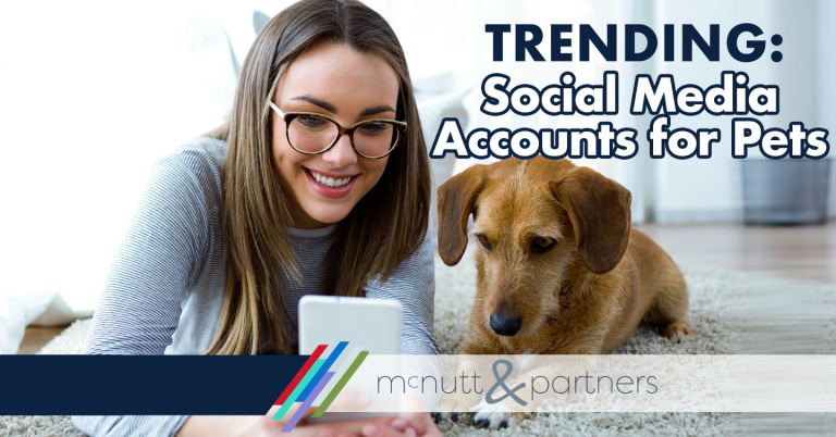 Read more about the article Trending: Social Media Accounts for Pets