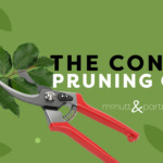 The Content Pruning Guide