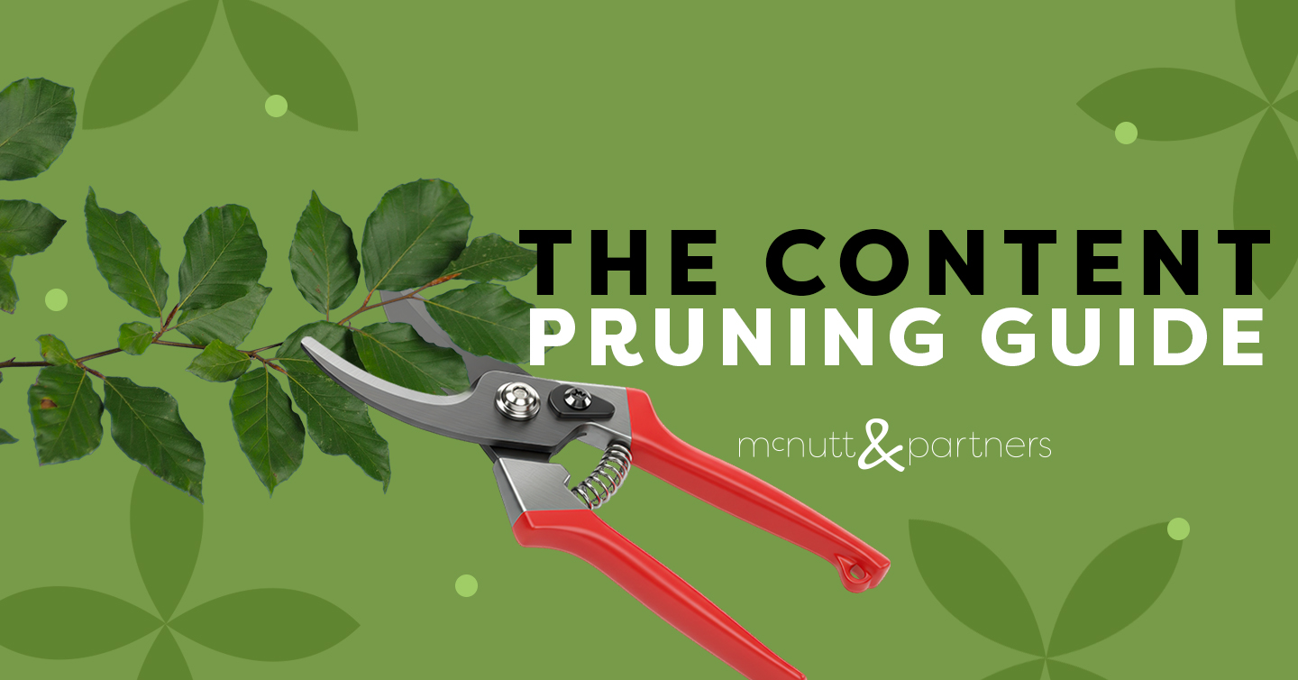 You are currently viewing The Content Pruning Guide